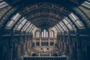 When Were Funerals Invented?
